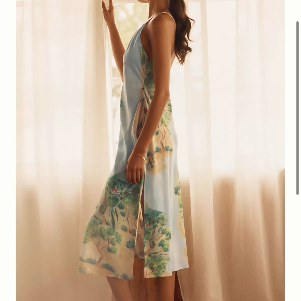 Anthropologie Scenic Print Midi Dress